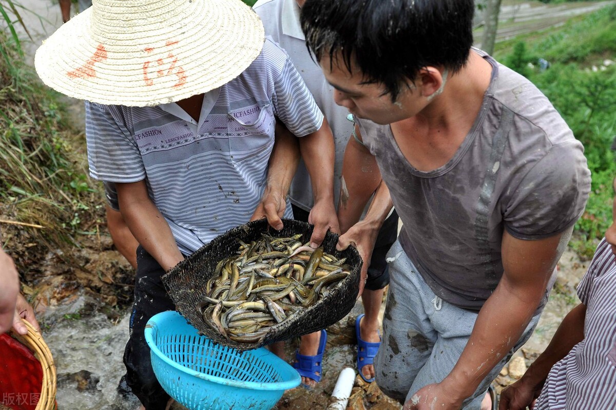 荸荠生吃有风险吗？食物生吃比熟吃更营养？听听专家怎么说
