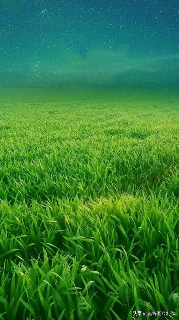 高清绿色护眼壁纸美景美图