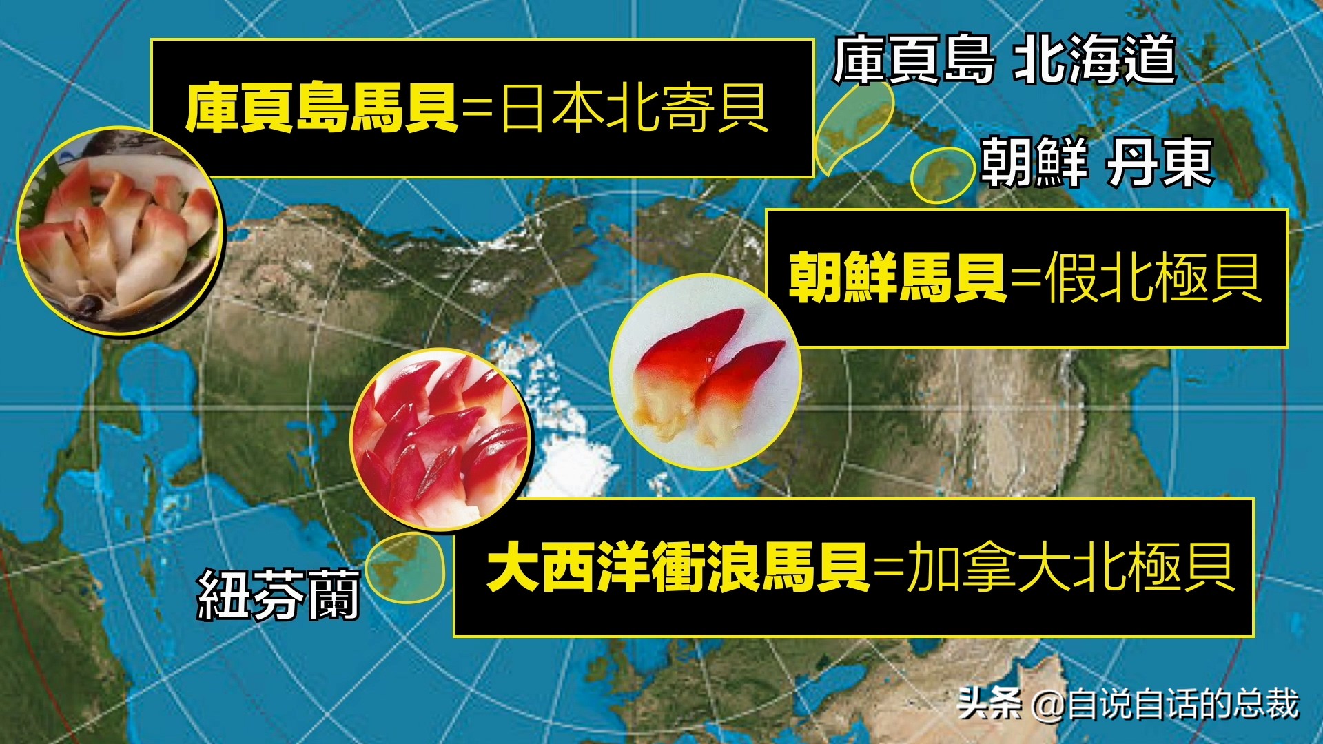 蛤、蚶、蛏、蚝、蚬有什么区别？这是一群美味海怪与人类的故事