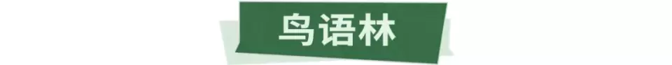 “超级飞侠-丛林大冒险”空降盘龙大观园,你要的快乐都在这儿