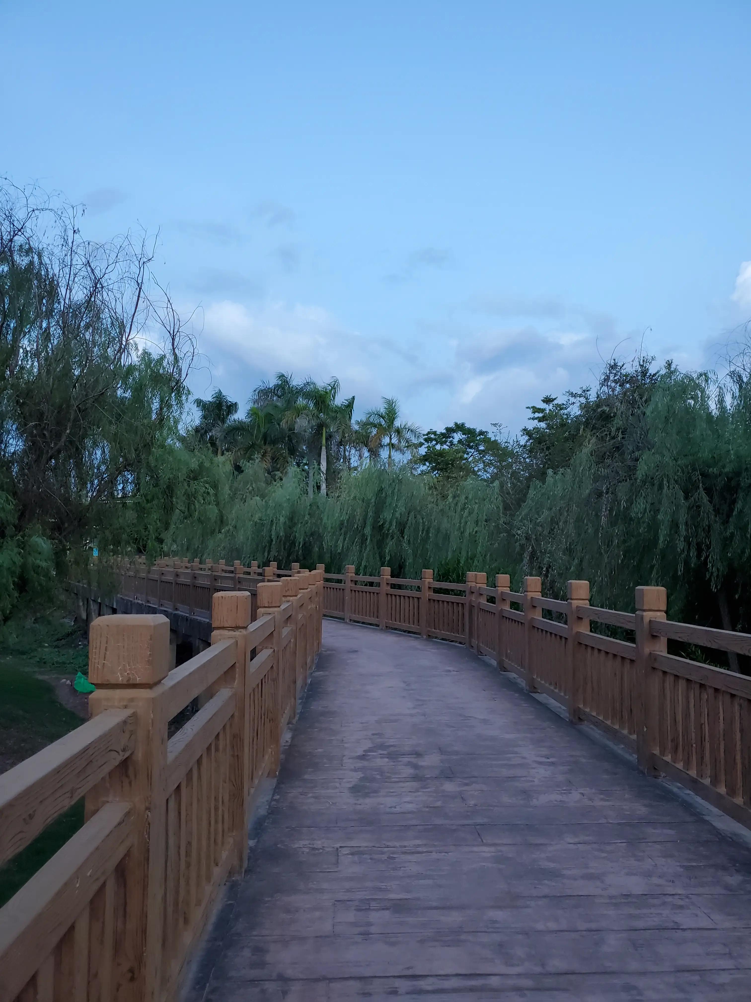 20年，足够毁灭一个女人，也足够成就一个女人(原创)