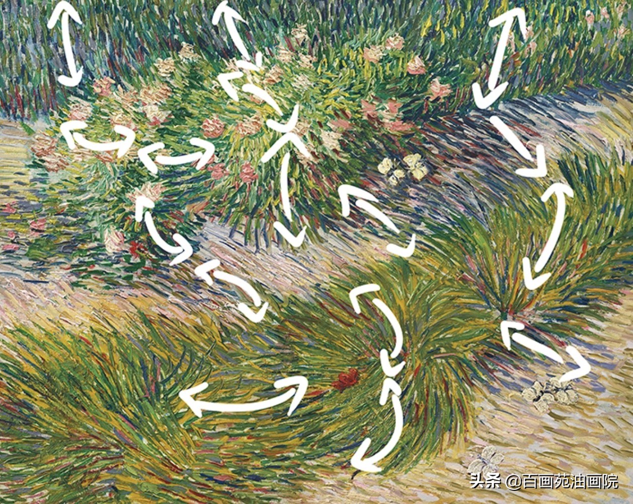油画大师梵高——《草与蝴蝶》画作分析
