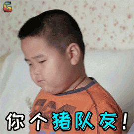 "猪队友"不是"Pig mate"，难道你的身边没有个"猪队友"？