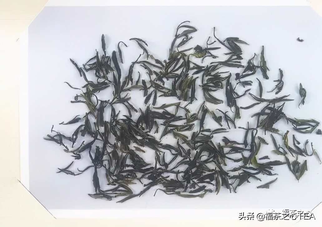 茶百科 | 中國茶葉分類大綱（收藏版）