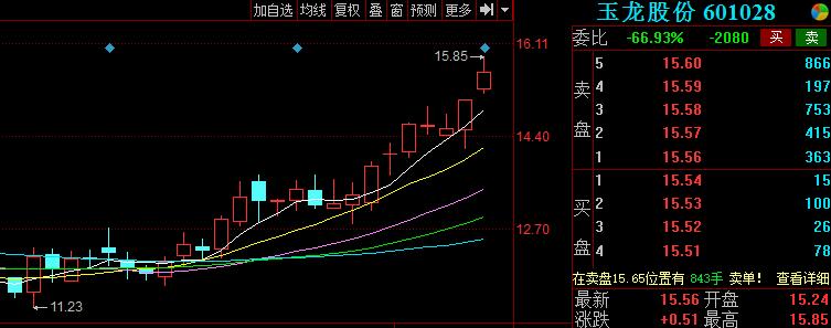 玉龙股份要去挖金矿(玉龙矿业属于玉龙股份吗)