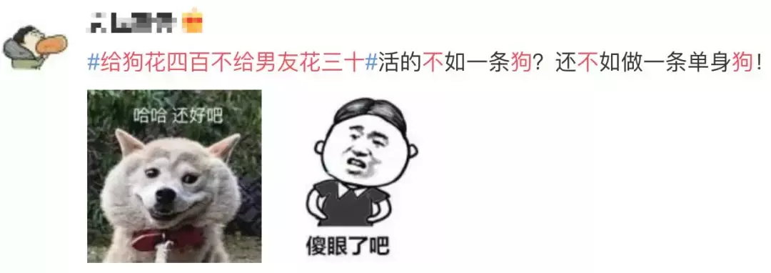 00后女友花400多给爱犬美容,男友花30元理发却嫌贵?