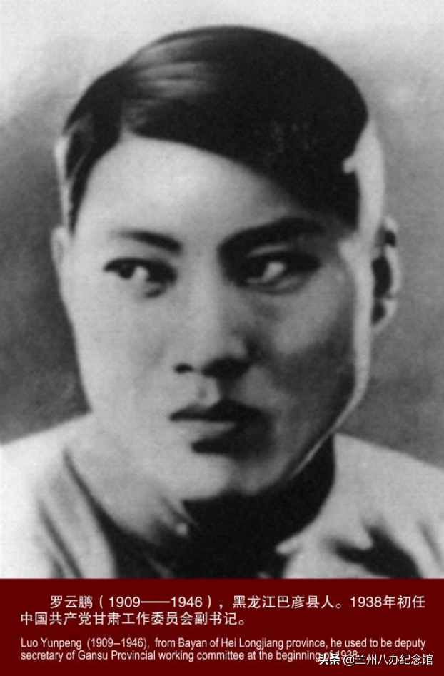 在线观展 