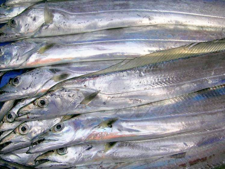 中秋家宴，把这5种海鱼端上餐桌，营养高价格低，待客也倍有面子