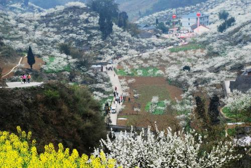 四川名字最难读的6个地方，都是好地方！你都念得出来吗？