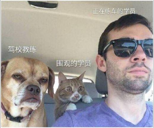 比亚迪的车居然被称为公路坦克 这个梗的出处原来在这里