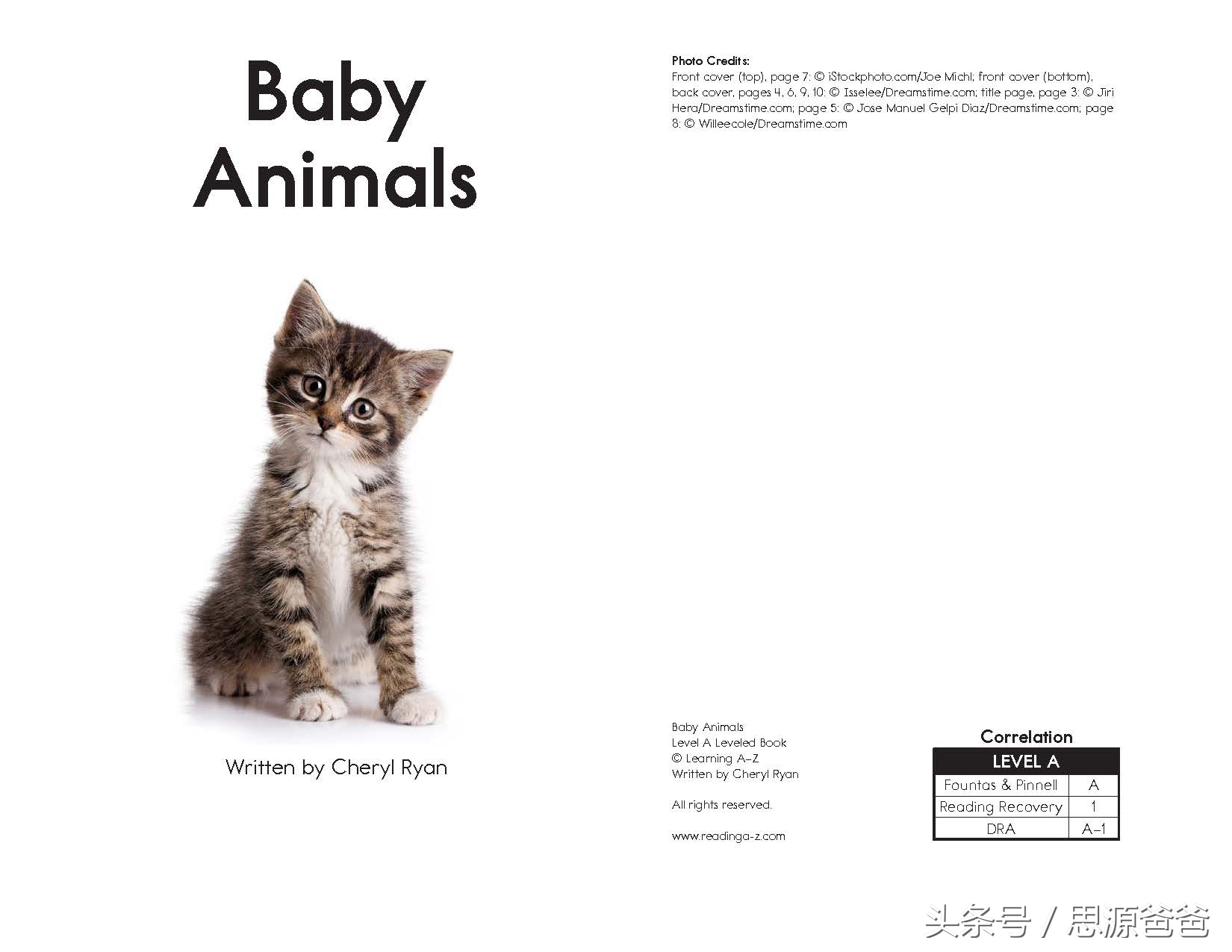 你知道不？小狮子不是baby lion，而是cub