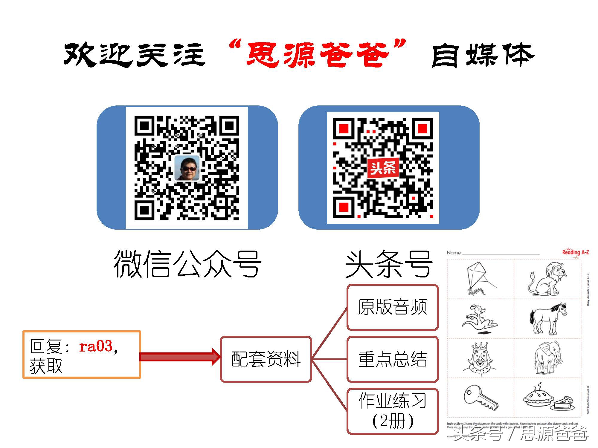 你知道不？小狮子不是baby lion，而是cub