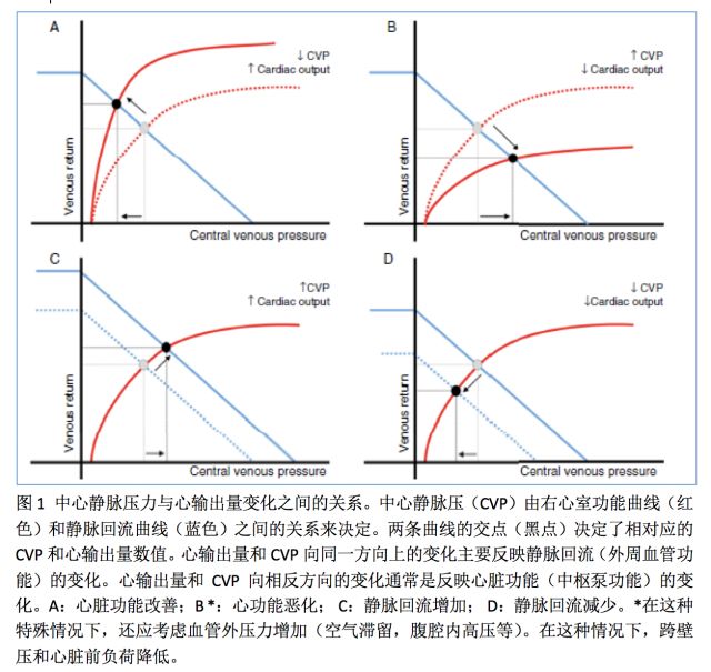 最后,cvp是右心室(rv  )功能与静脉回流相互作用的结果(见图1 ).