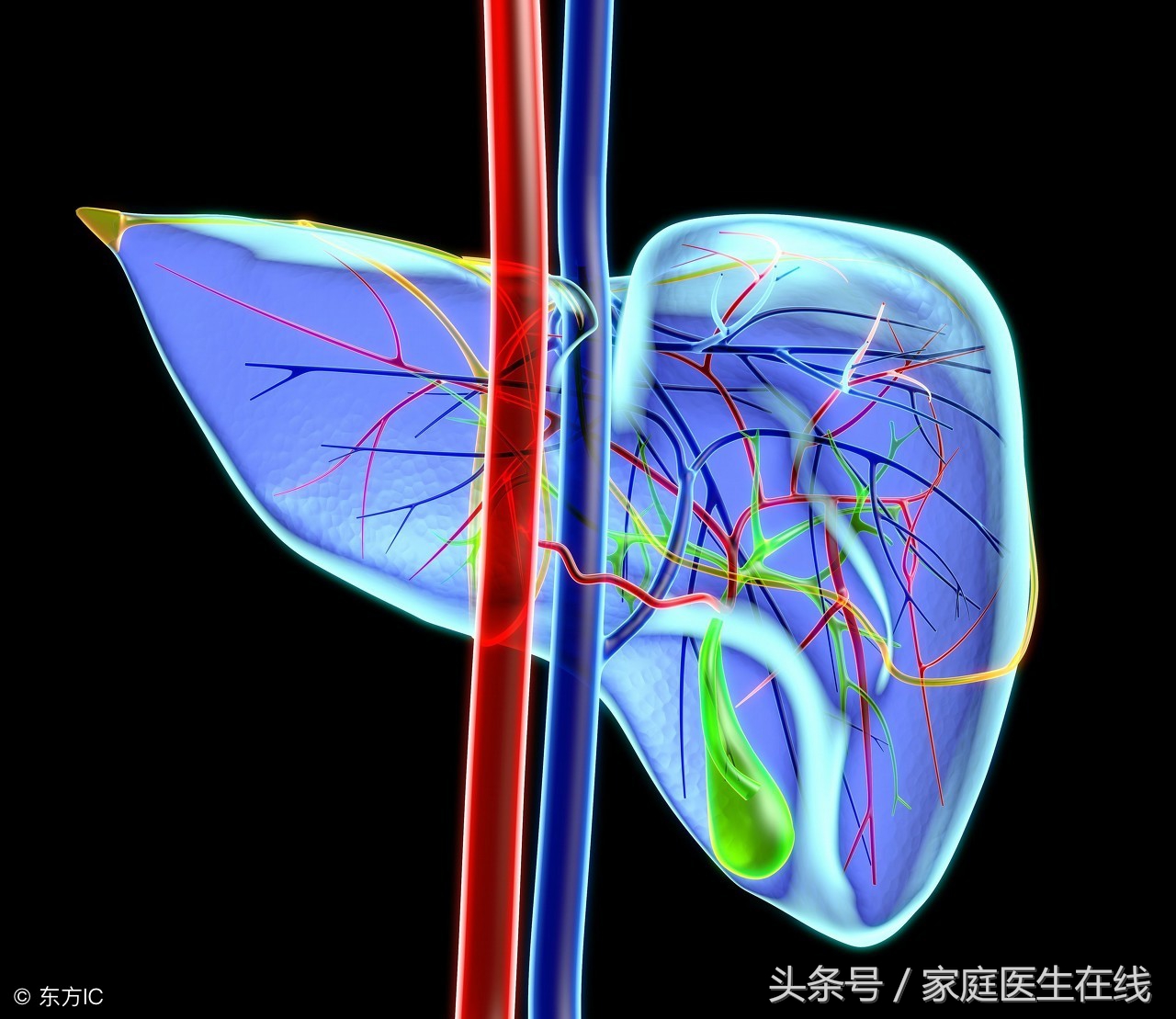 发生胆汁反流时，身体会发出4个“警告”，威胁肠胃健康