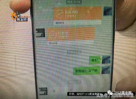 捡到一只贵宾犬,双方卡在三百五……狗主人:“我又没要她寄!”