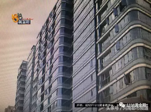 捡到一只贵宾犬,双方卡在三百五……狗主人:“我又没要她寄!”