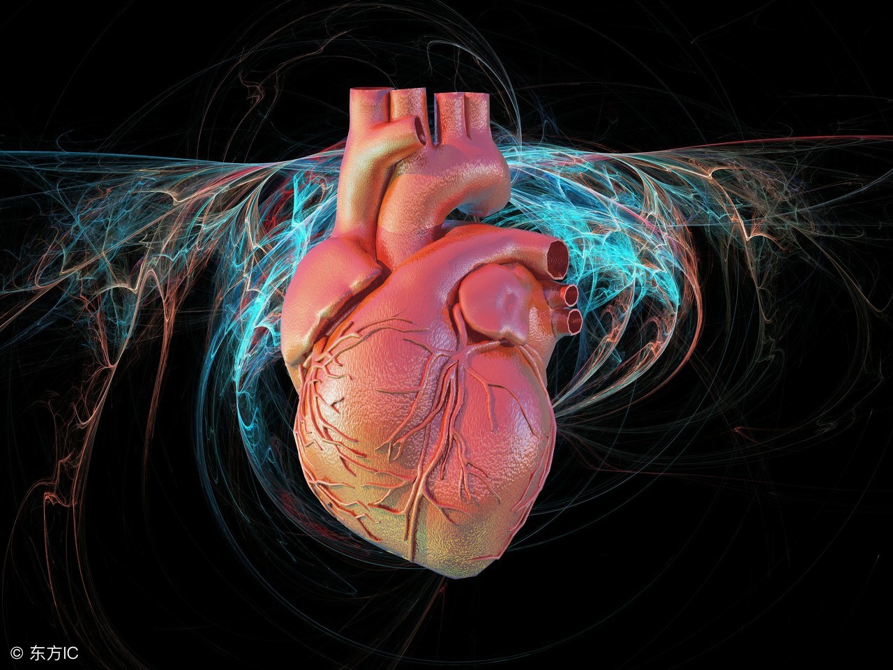 什么是心脏回流？心脏回流的症状有哪些？不可小瞧