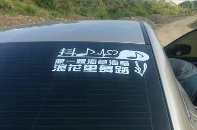 车贴分五类，看看你的是哪一类
