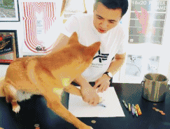 老妈你随便画，改不好算我输！史上最不正经插画师，一夜吸粉58万