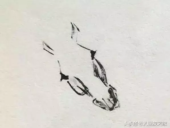 图文教程丨写意国画教程，马的绘画技法