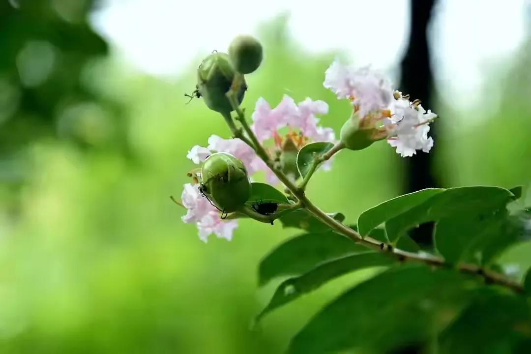 40岁女人哭诉：人到中年，只剩下老公和孩子，这才是最可悲的事