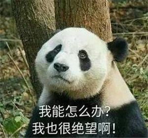 文档中如何快速插入对号符号及打勾方法技巧