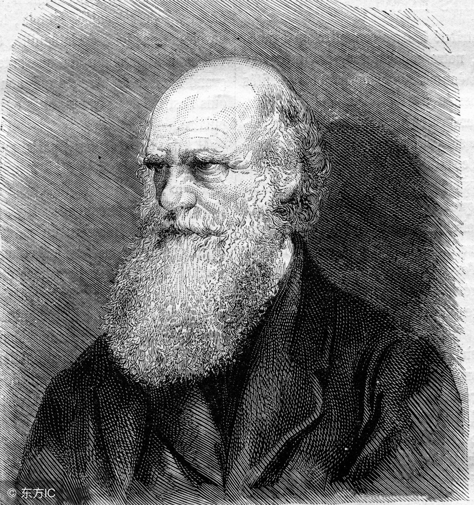 进化论被推翻是真的吗，达尔文进化论只是假说吗？