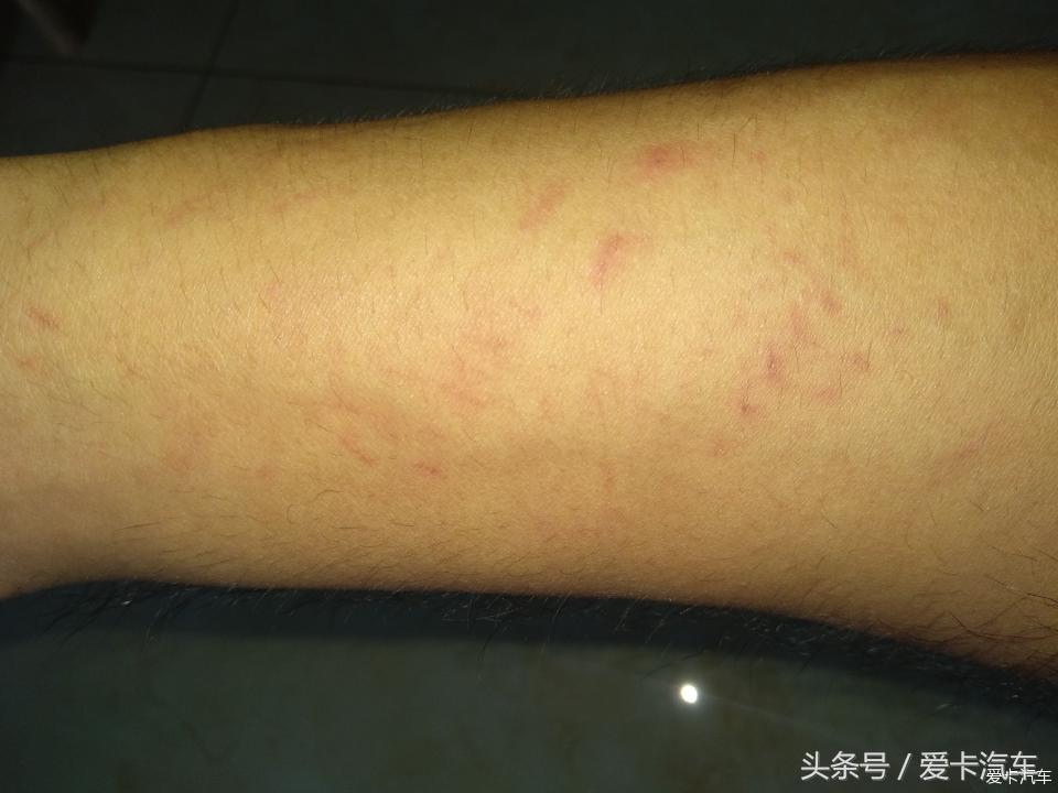 有意外收获 奥迪A4L换真空泵密封垫