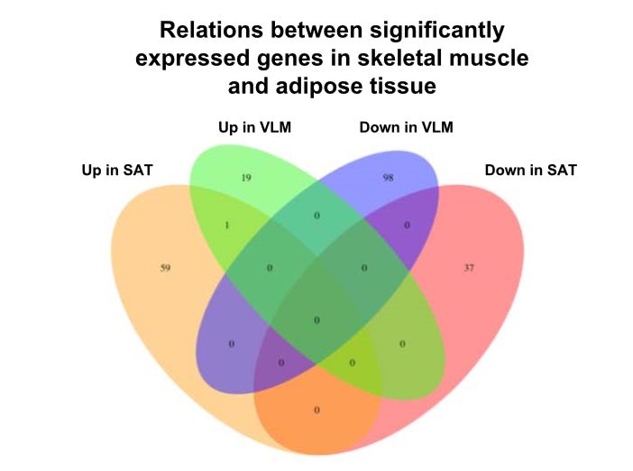 《科学》子刊：一宿不睡代谢崩溃！科学家发现，通宵之后身体竟然倾向合成脂肪、分解肌肉