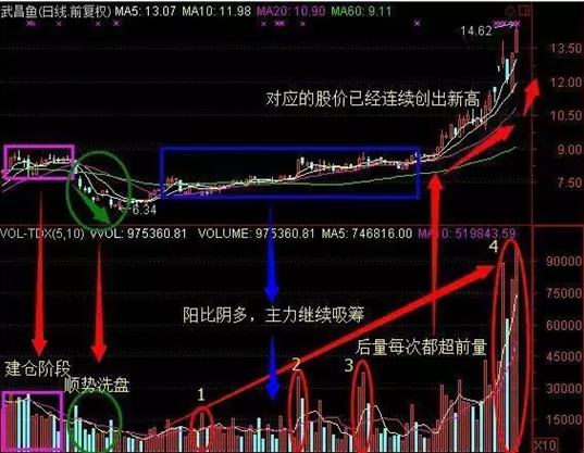 主力建仓全过程细节曝光，股民欢呼“最美时刻来临”!