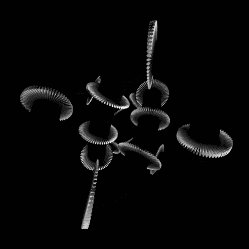 令人窒息的数学动态图