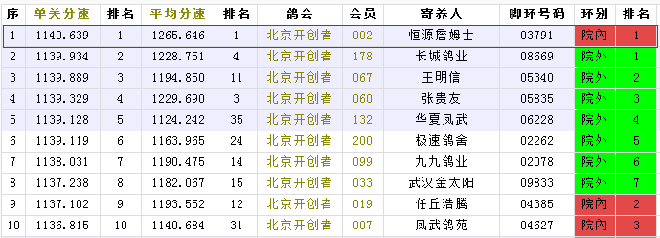 北京开创者第三关艰难归巢，诞生“神奇小鸟”