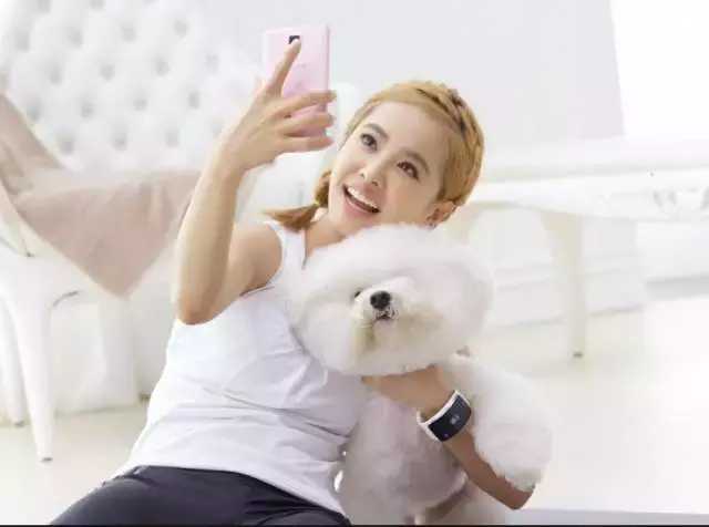 各种狗的身世和身价,快看看你家的小狗是不是狗中贵族?