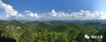 最后半个月!上海坐巴士直达莫干山!游玩攻略都齐了!快抓紧上车~