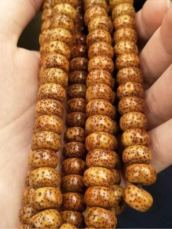 星月菩提开片(十年星月陈籽,竟是用普洱茶3小时泡的!