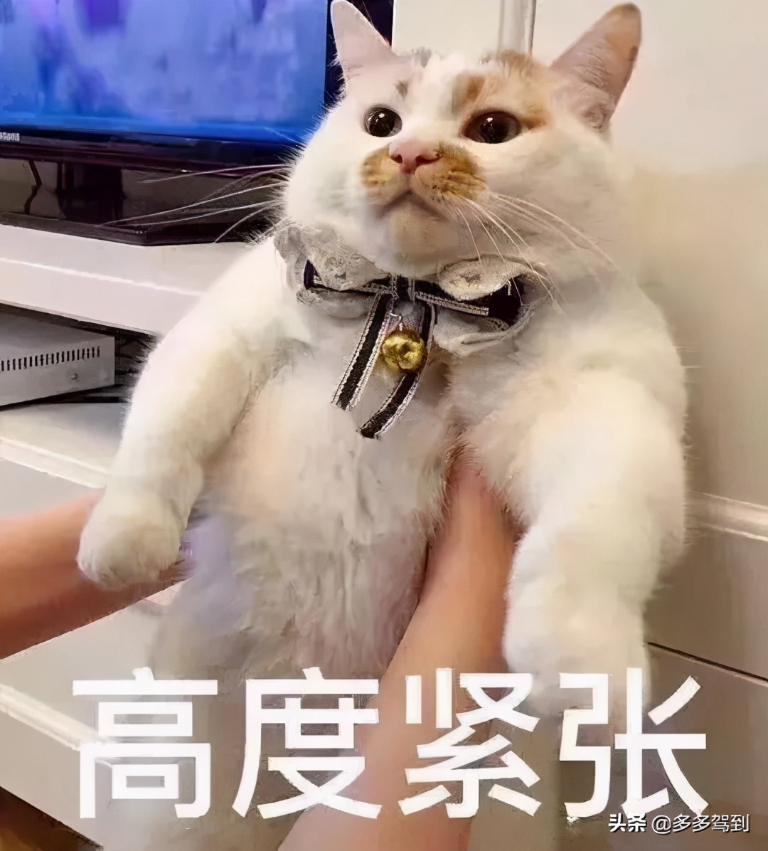 驾考科目中，为什么科目二的通过率最低？到底难在哪儿？