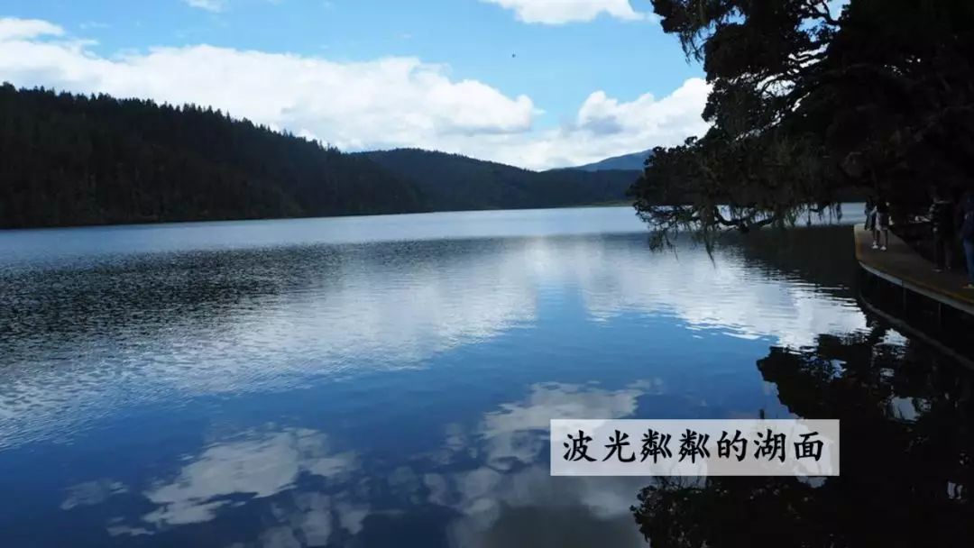 部编版三年级语文下册第二课《燕子》知识点及课堂测试题