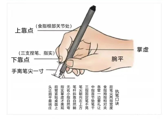 左手写字的握笔方法图图片