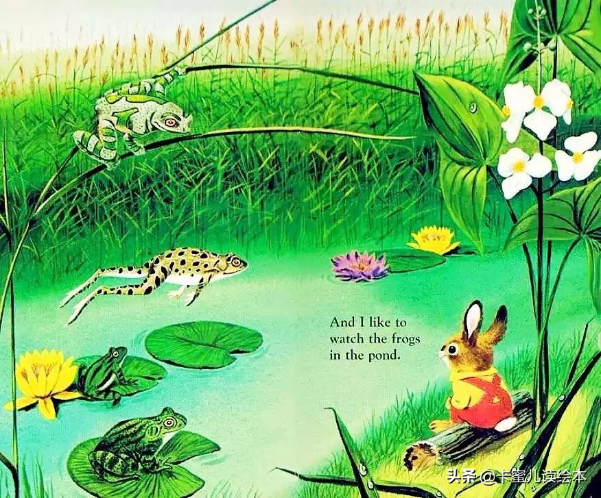 英文有声绘本《I am a bunny》我是一只小兔子