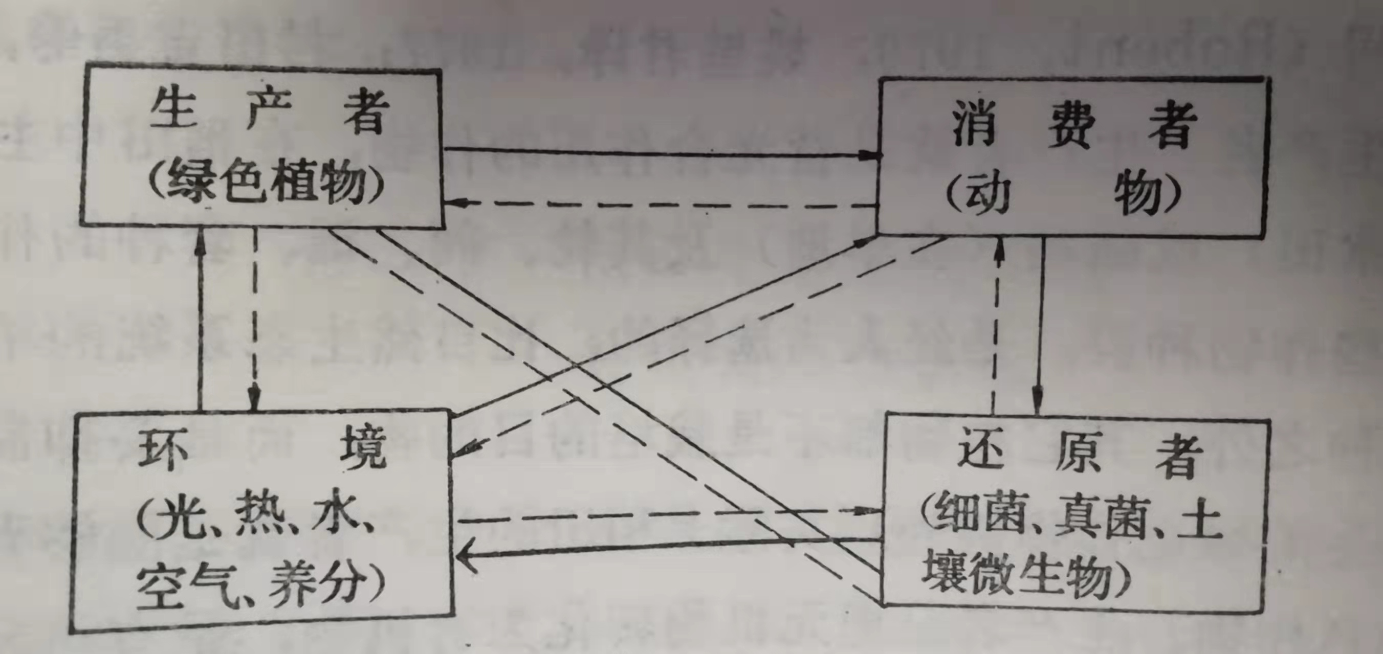 72、從水稻生態(tài)系統(tǒng)的能量轉(zhuǎn)化和物質(zhì)循環(huán)看水稻秸稈還田的重要性