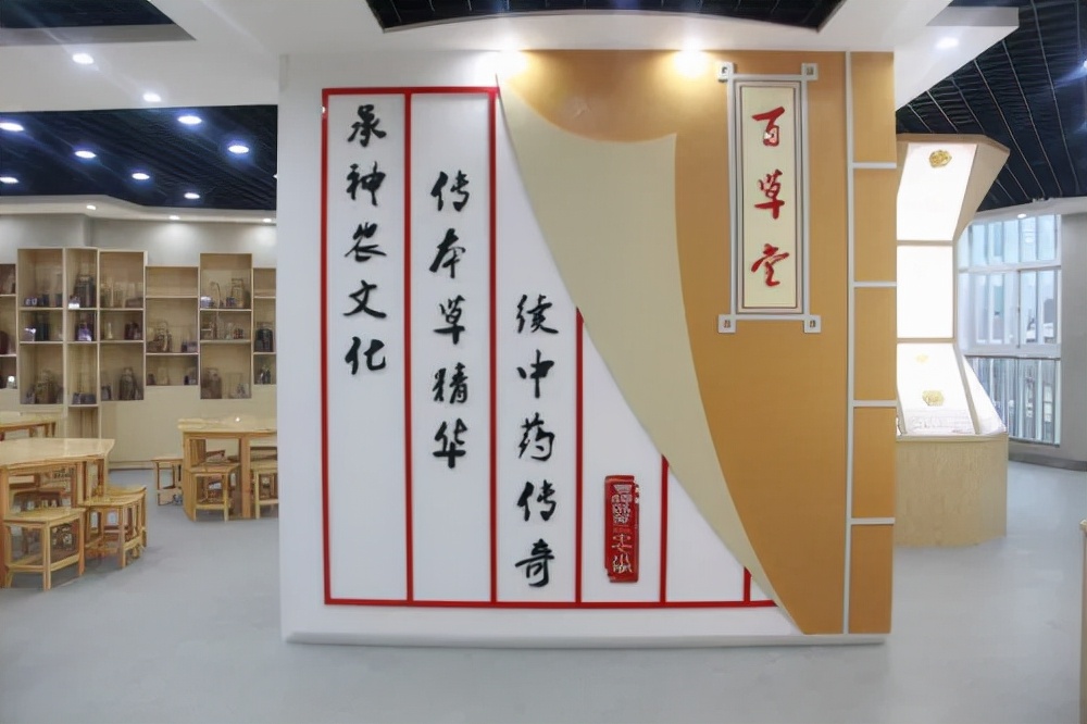 点赞！丰泽这所学校深耕细作，让中医药文化在校园中扎根绽放