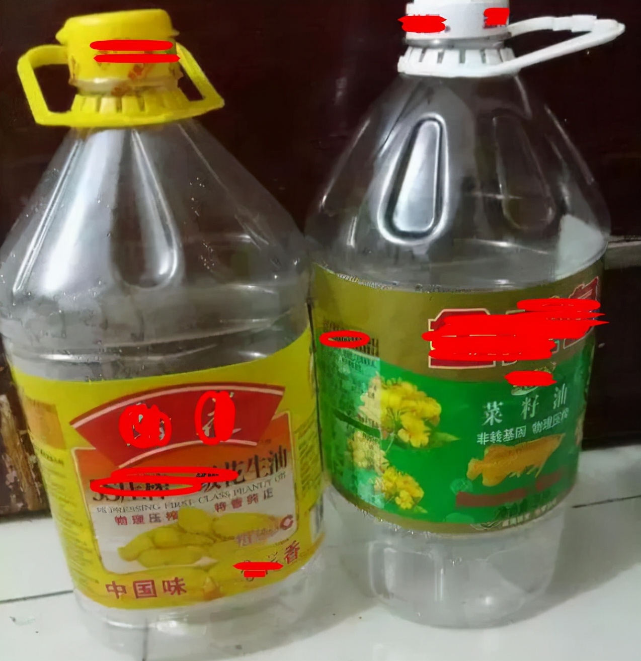 家有“空油桶”别扔掉，1个能养60棵“蒜”，种点菜家人吃得健康