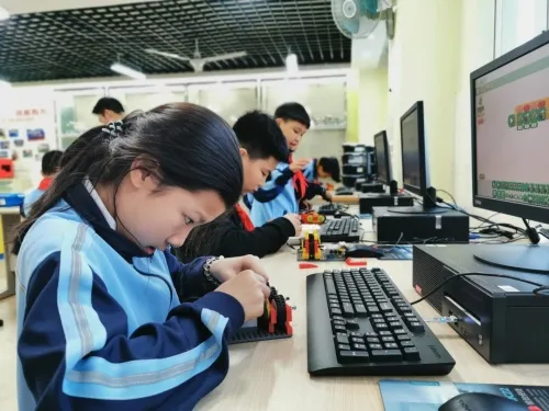 点赞！丰泽这所学校深耕细作，让中医药文化在校园中扎根绽放