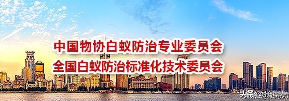 白蚁种类识别与高效防治方法全解析