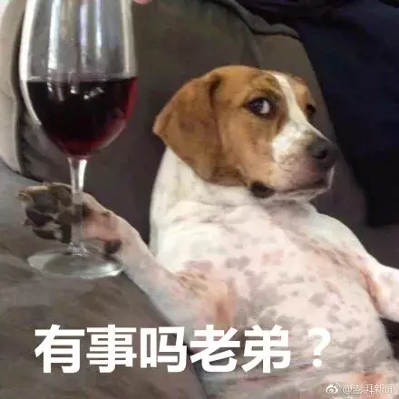 00后女友花400多给爱犬美容,男友花30元理发却嫌贵?