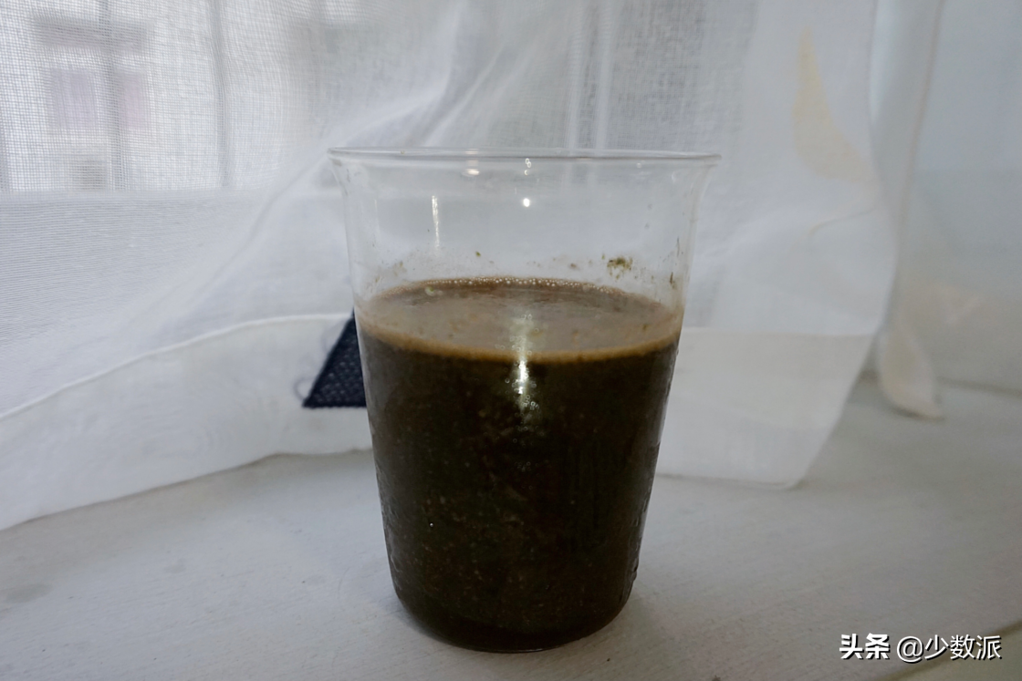 手把手教你：果蔬汁这样做，营养又省事儿