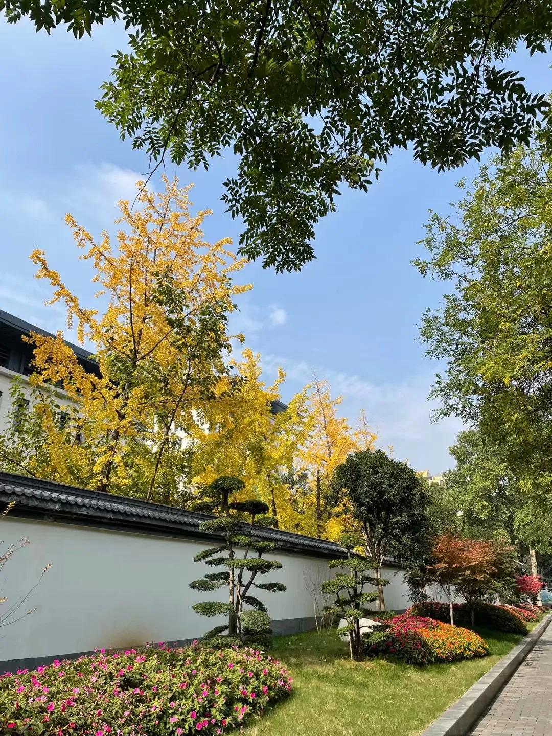 悟空问答:问答自媒体仅次于知乎的天花板,对新人很友好