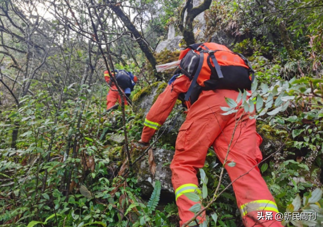 四人殒命哀牢山，为何进山时穿着“一次性雨衣”？