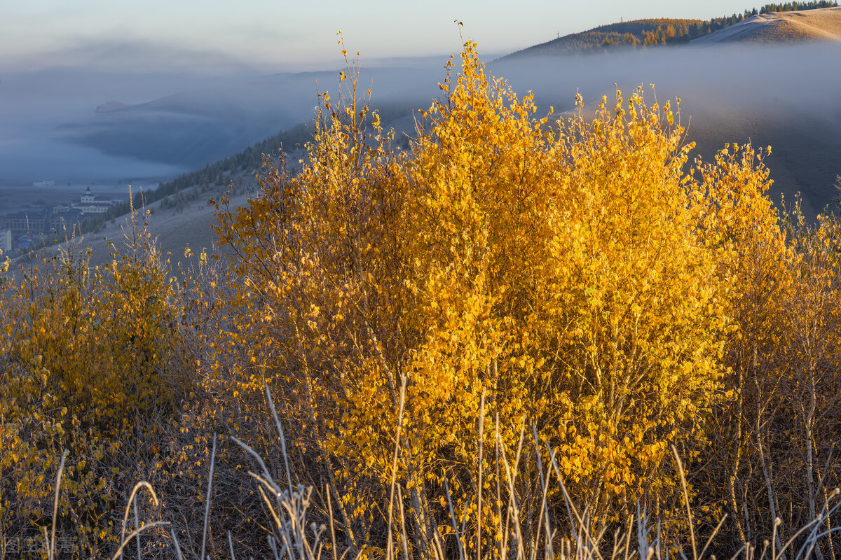 国内最美的秋色都在内蒙古，这个秋天一定要打卡，错过再等一年插图19