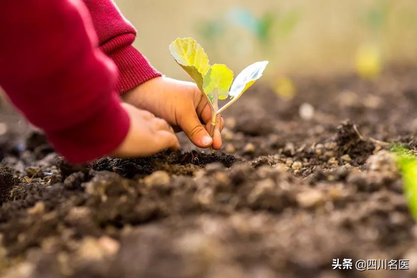 这种脱发，90%都能治好！华西冉玉平教授：秃不秃，决定权在你手里